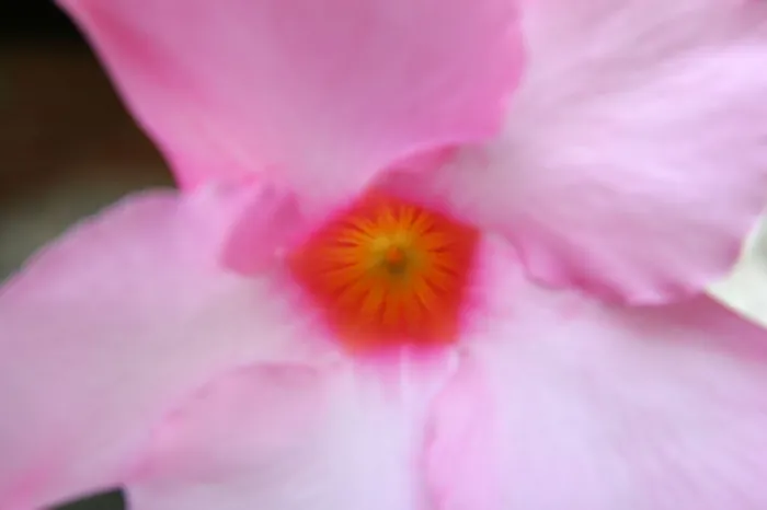 Up Close
