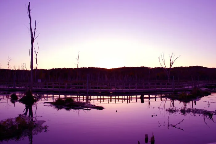 Purple Sunset