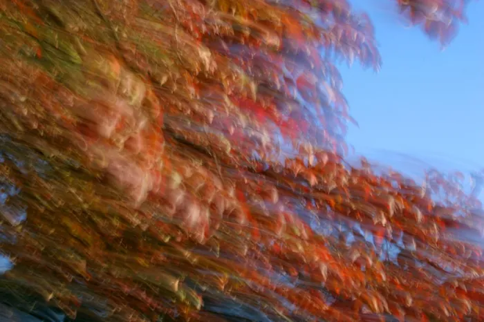 Color Motion