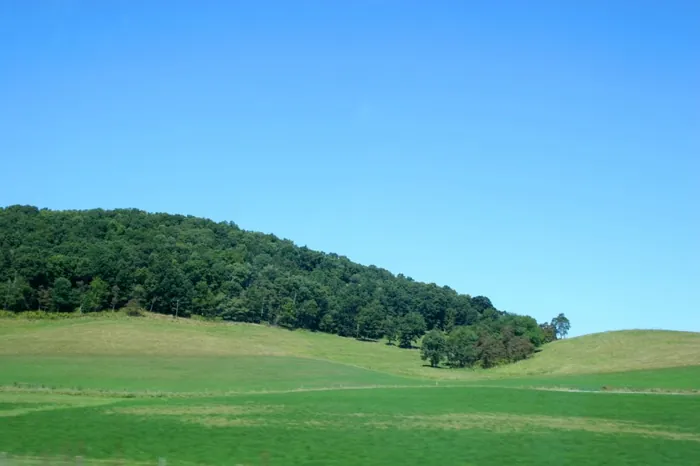 Hills Of Color