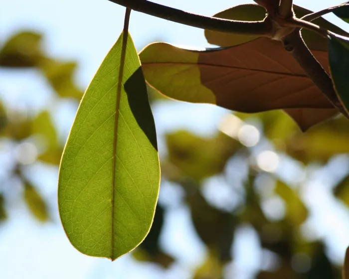 Hanging On