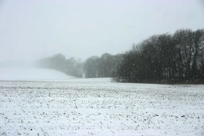 Fading Winter