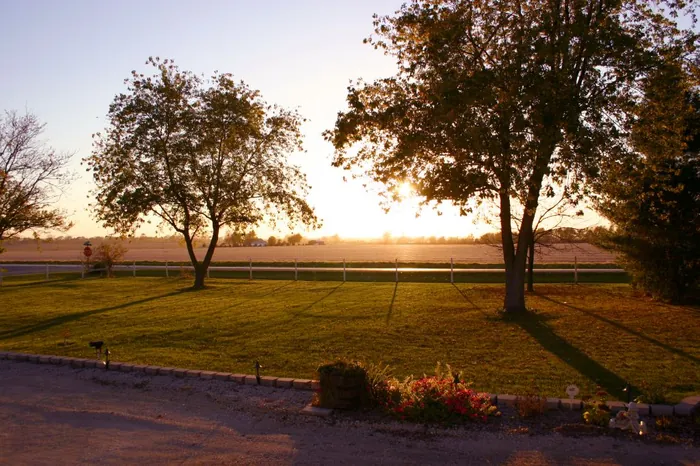 Sun Yard