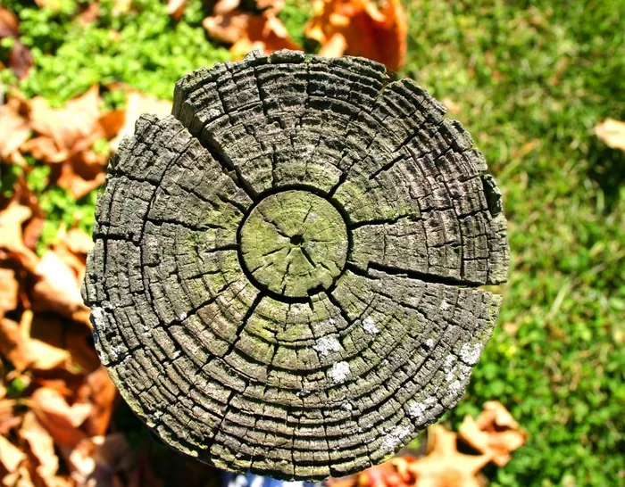 Post Marks