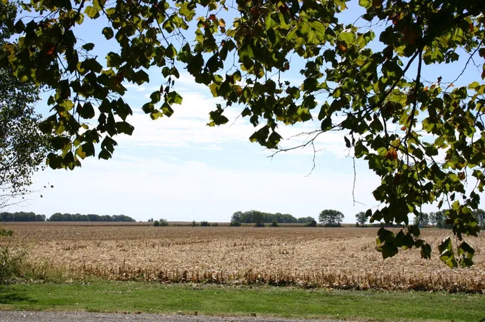 Framed Field