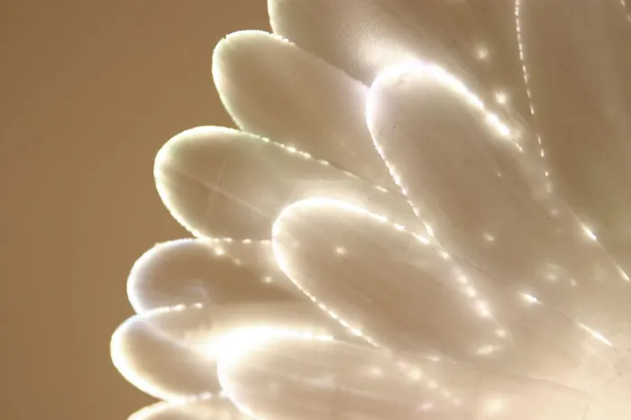 Light Wing